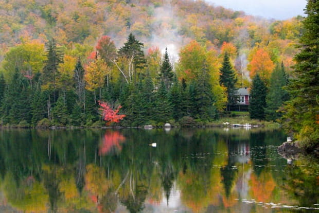 Les feux de cheminée