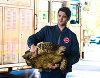 Chicago Fire : Quand les tortues auront des ailes