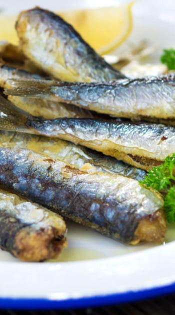 Maquereaux et sardines &agrave; l'huile
