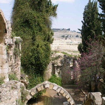 le mont des oliviers (au dernier plan) à jerusalem