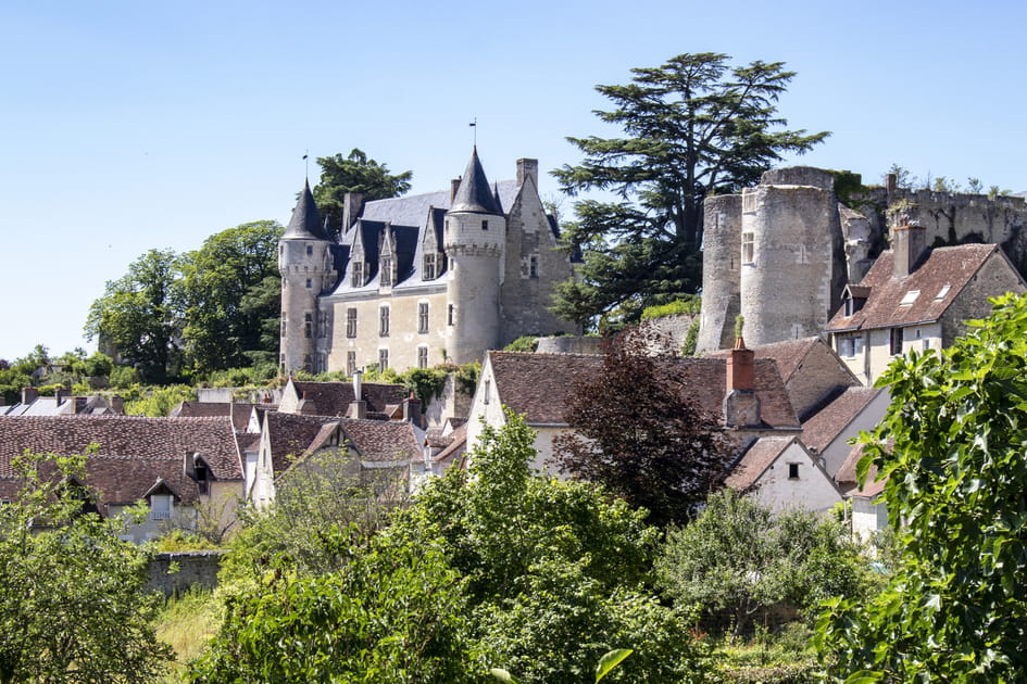 Le l&eacute;zard de Montr&eacute;sor, lui toucher la queue porte-bonheur
