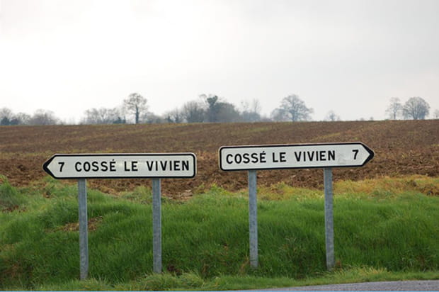 L'embarras du choix ?