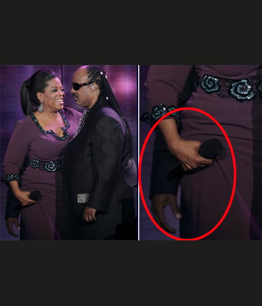 Le bras long