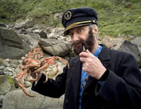 La gaule d'Antoine : Bretagne