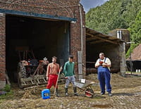 La bouse : A la Saint-Jérôme, lâche ton coq dans le gallodrome