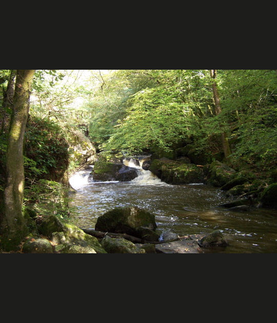 Le Parc naturel r&eacute;gional P&eacute;rigord-Limousin