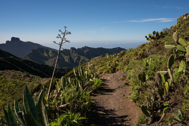 Parc rural de Teno, l'un des plus beaux espaces naturels de Tenerife