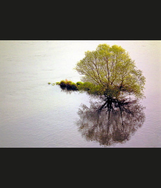 Au milieu du fleuve