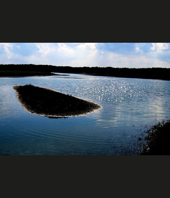 Le parc de Manqueterre