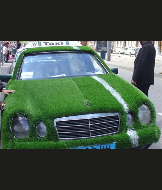 Mercedes en gazon