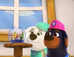 Pupstruction, les chiots en action
