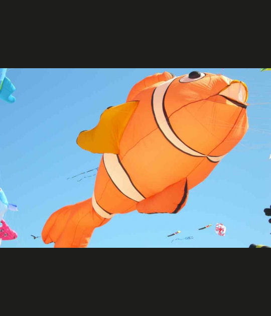 Le retour de Nemo