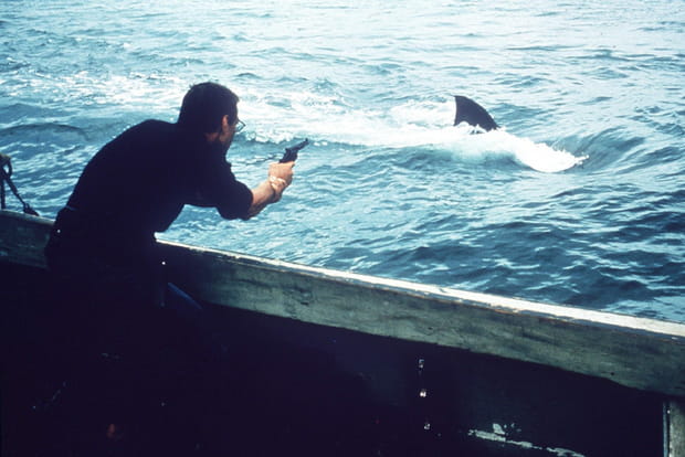 1975 : Les Dents de la mer