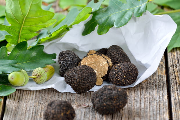 Une dégustation des truffes de Bourgogne