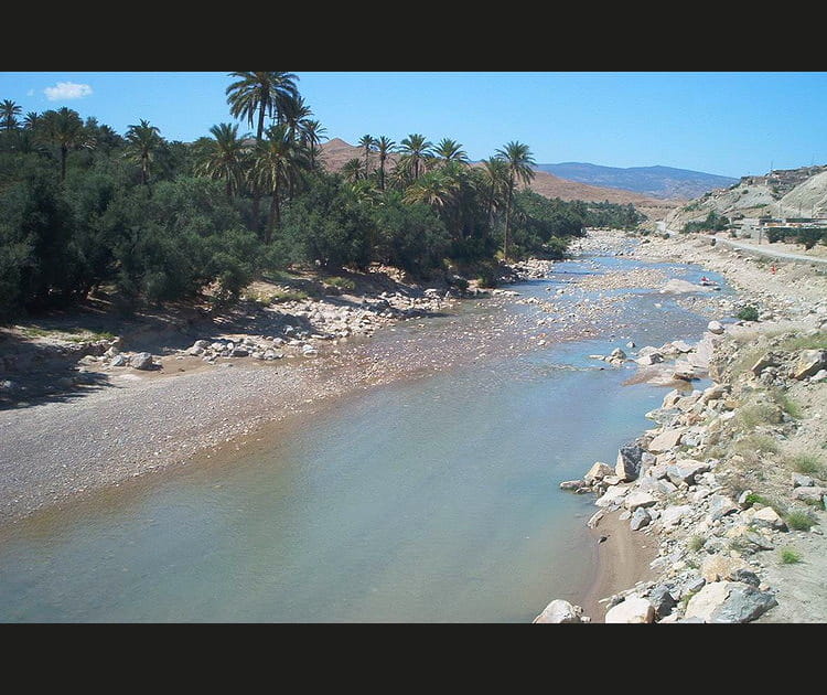 L'oasis d'El Oualdja