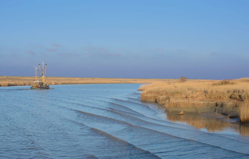 La mer de Wadden aux&nbsp;Pays-Bas&nbsp;et&nbsp;en&nbsp;Allemagne