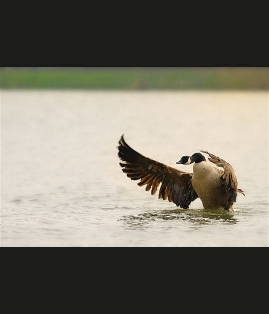 La gr&acirc;ce incarn&eacute;e