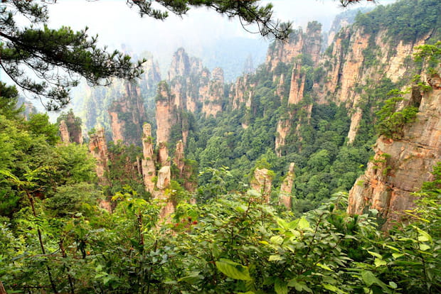 Les pitons rocheux du Zhangjiajie National Park Forest en Chine
