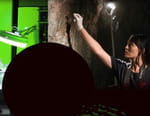 Les spécialistes : Investigation Scientifique