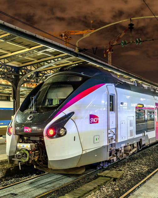 La SNCF propose de reporter et d'annuler son voyage sans frais