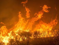 Incendies géants, enquête sur un nouveau fléau : Incendies géants, nos forêts brûlent
