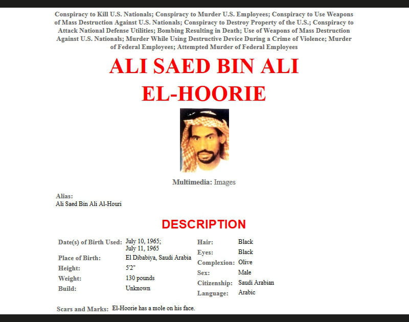 Ali Saed bin ali El-Hoorie