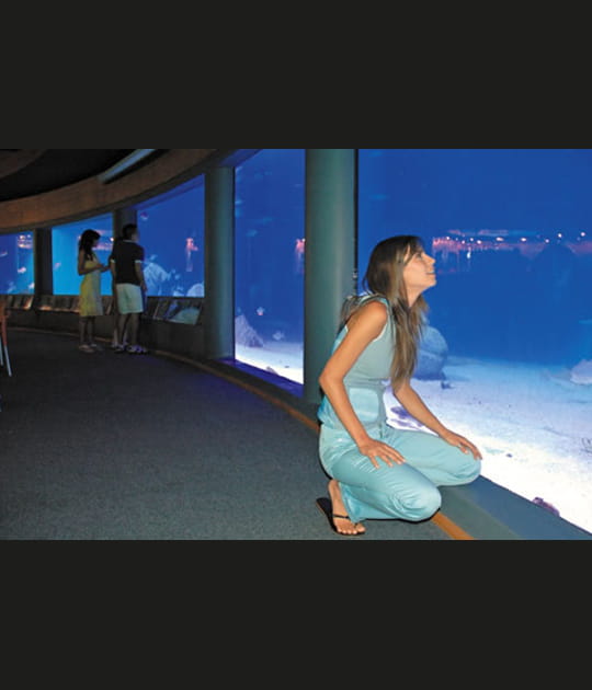 Le plus grand aquarium du Chili