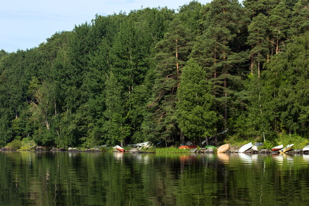 Un pays recouvert de forêts