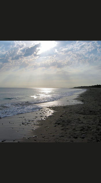 Le Bois-Plage-en-R&eacute;