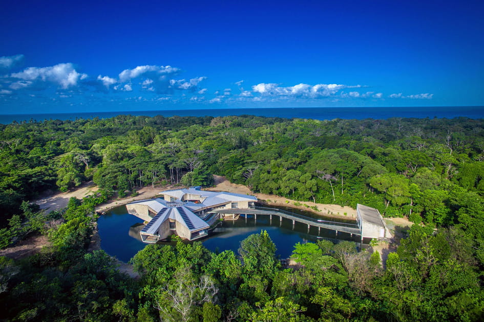 Une maison unique au milieu de la for&ecirc;t tropicale