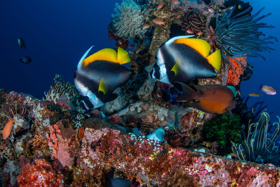 Les spots cach&eacute;s de Bali&nbsp;: Tulamben