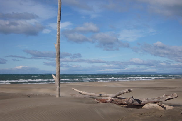 La Plage de l'Espiguette au Grau-du-Roi, Gard