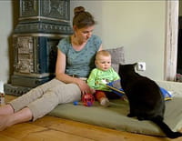 Secrets de chats