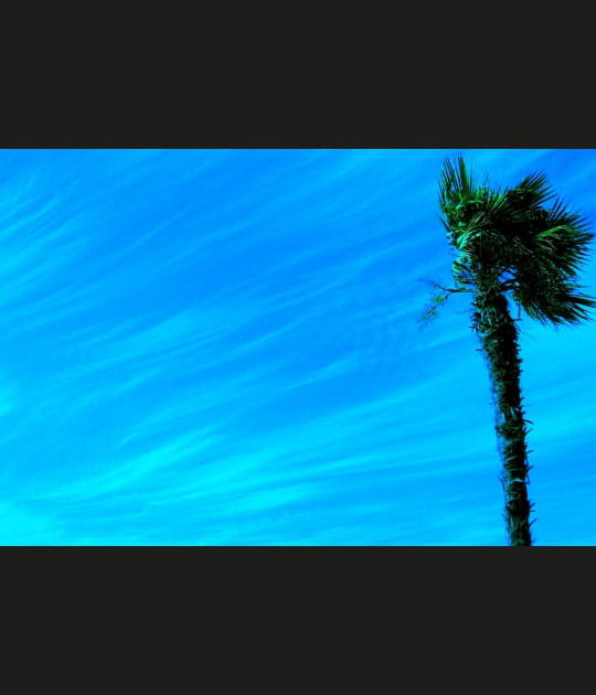 Un ciel bleu de jalousie