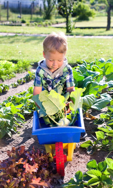 Proposer ses services : jardinage, bricolage...