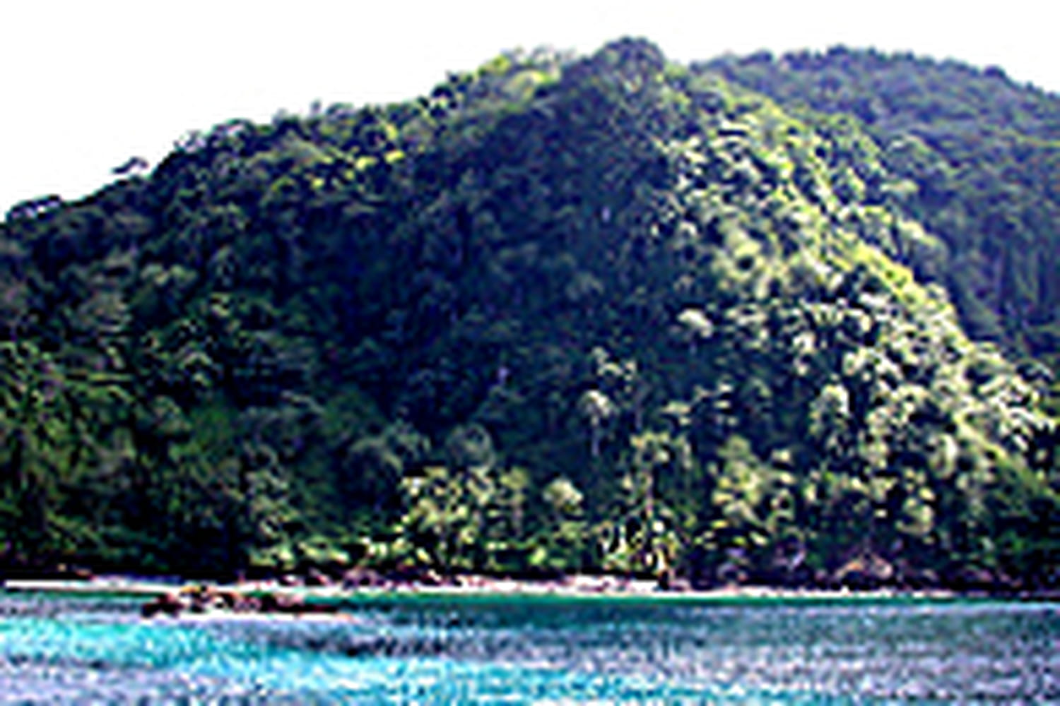 L'île Cocos, nouveau sanctuaire de la biodiversité