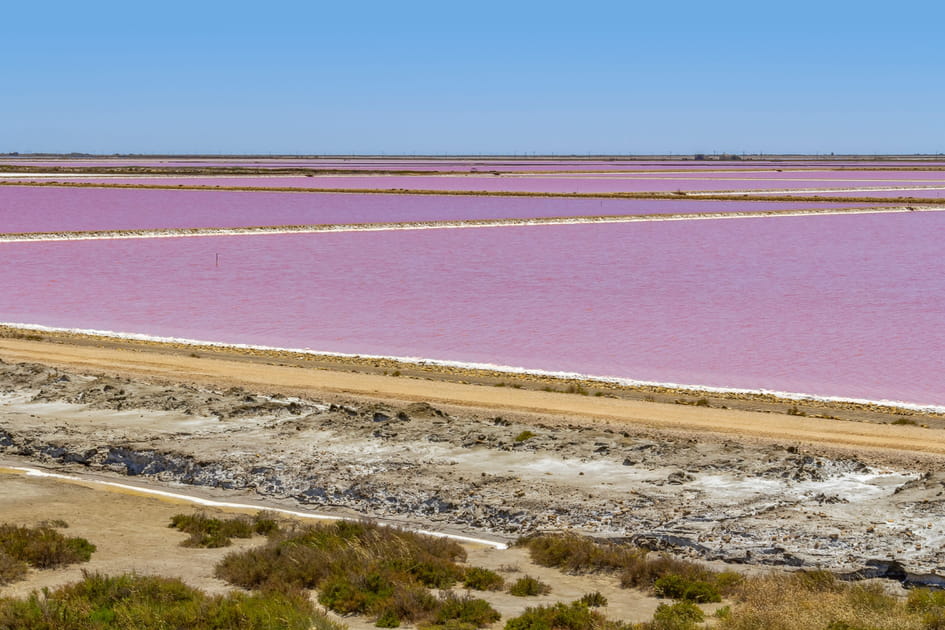 Les Marais salants de Salin-de-Giraud, la nature en rose