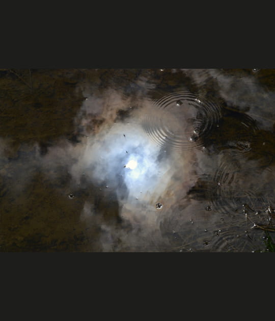 Reflet de l'astre