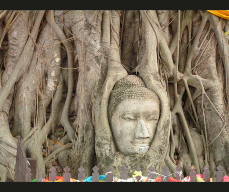 Le royaume d'Ayutthaya