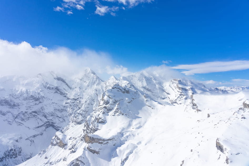 Vogel, en Slov&eacute;nie