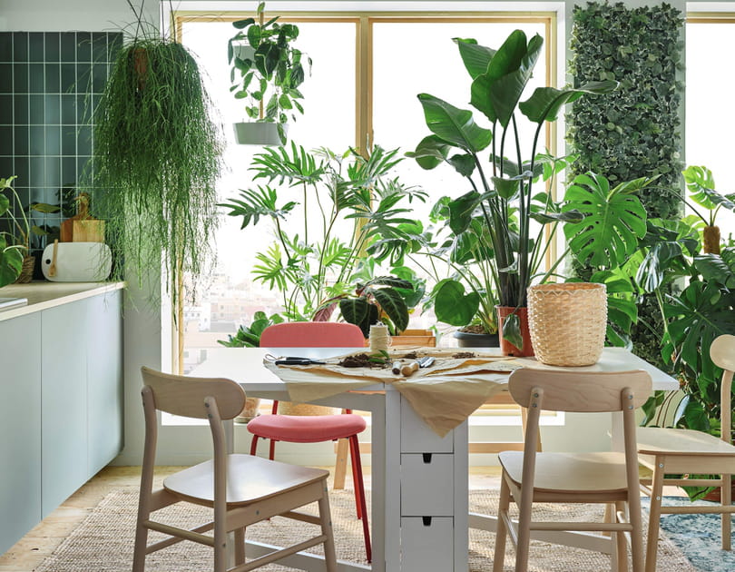Une cuisine green
