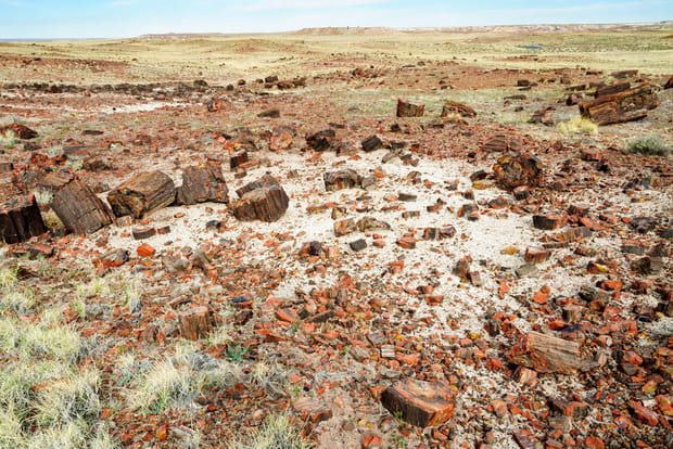 La Petrified Forest en Arizona