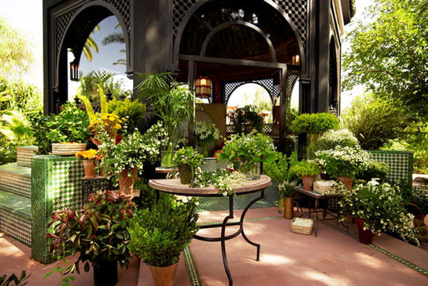 Petit coin de verdure