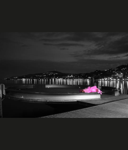 Le lapin rose endormi