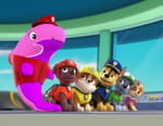 Paw Patrol, la Pat'Patrouille