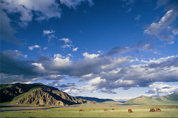 Mongolie, l'appel des grands espaces