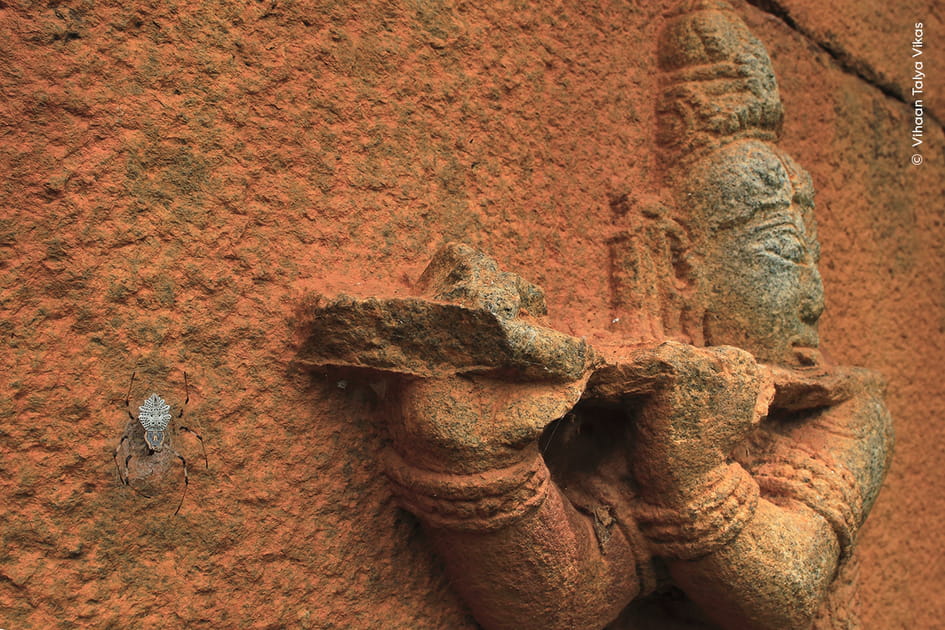Le mur des merveilles par Vihaan Talya Vikas, Inde