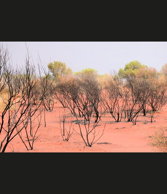 Alice Springs