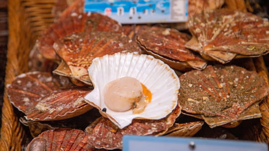 Pour manger des coquilles Saint-Jacques sans se ruiner &agrave; No&euml;l, voici ce qu'il faut faire