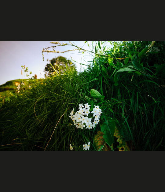 Hobbiton dans Bilbo le Hobbit